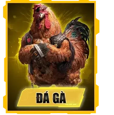 Đá gà dk88