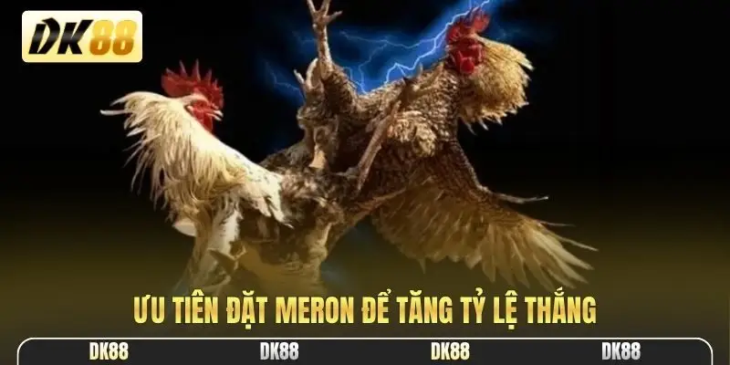 Ưu tiên đặt Meron để tăng tỷ lệ thắng